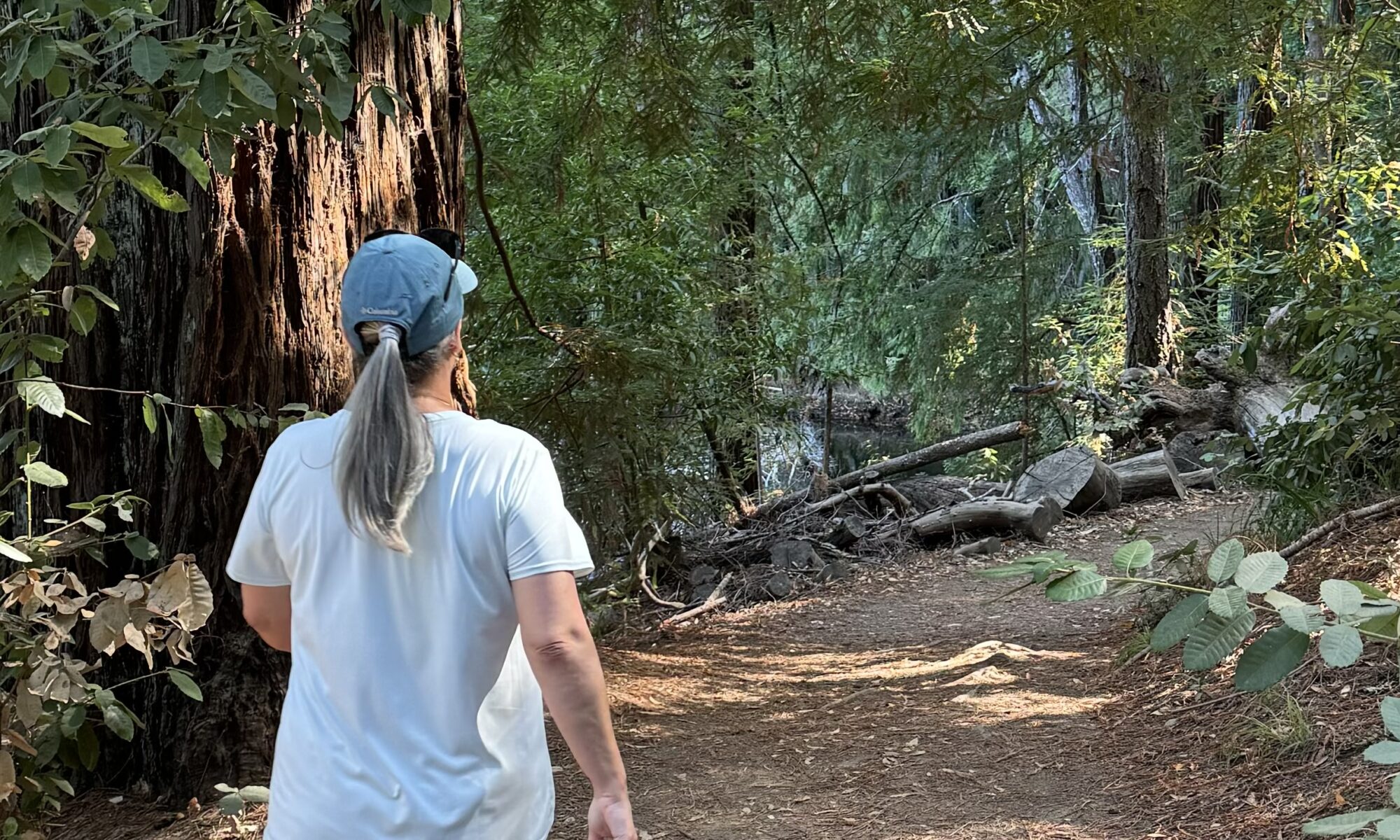 Hiker on Hiking Train in Marin Municipal Water District watershed